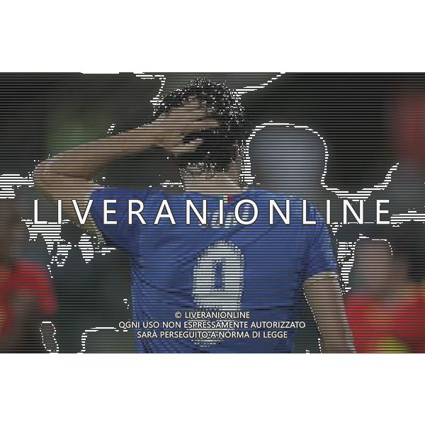 Firenze 30-05-2008 amichevole nazionale italiana calcio italia-belgio 3:1 nella foto luca toni ph marco luzzani/ag aldo liverani s.a.s. 