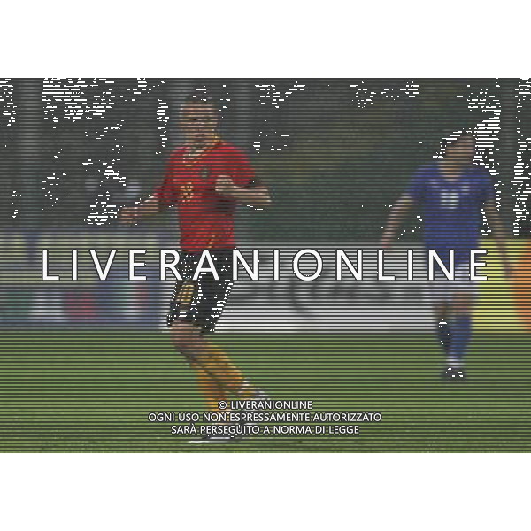 Firenze 30-05-2008 amichevole nazionale italiana calcio italia-belgio 3:1 nella foto sonk esulta dopo il gol ph marco luzzani/ag aldo liverani s.a.s. 