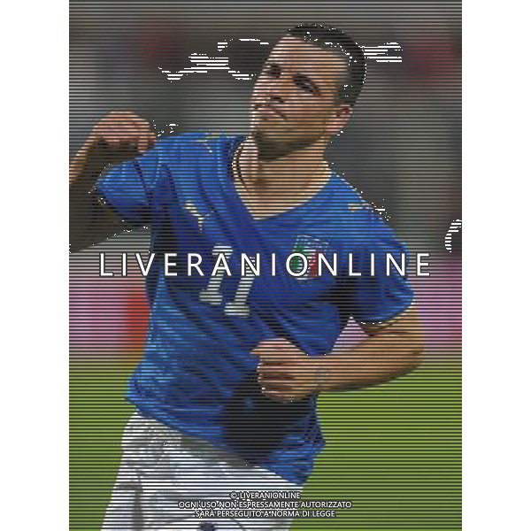 Partita Amichevole Firenze - 30.05.2008 Italia-Belgio Nella Foto:DI NATALE ANTONIO ESULTA /Ph.Vitez-Ag. Aldo Liverani