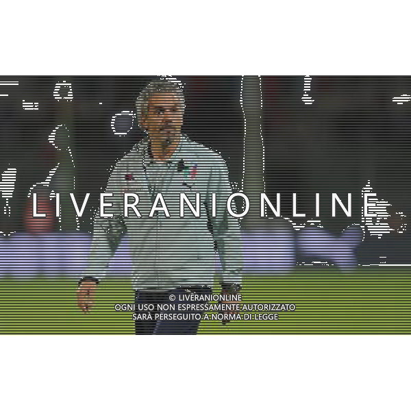 Partita Amichevole Firenze - 30.05.2008 Italia-Belgio Nella Foto:DONADONI ROBERTO /Ph.Vitez-Ag. Aldo Liverani