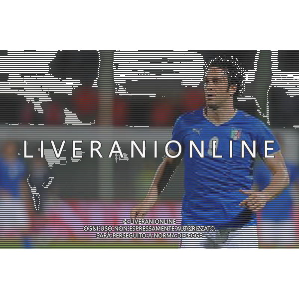 Partita Amichevole Firenze - 30.05.2008 Italia-Belgio Nella Foto:TONI LUCA /Ph.Vitez-Ag. Aldo Liverani