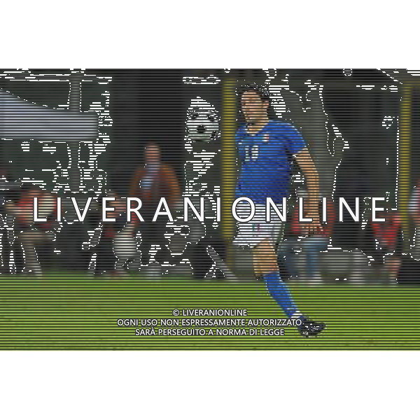 Partita Amichevole Firenze - 30.05.2008 Italia-Belgio Nella Foto:ZAMBROTTA GIANLUCA /Ph.Vitez-Ag. Aldo Liverani