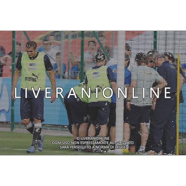 Allenamento Nazionale Italiana Baden - 02.06.2008 Nella Foto:CHIELLINI DOPO AVER VISTO LA CAVIGLIA DI CANNAVARO /Ph.Vitez-Ag. Aldo Liverani