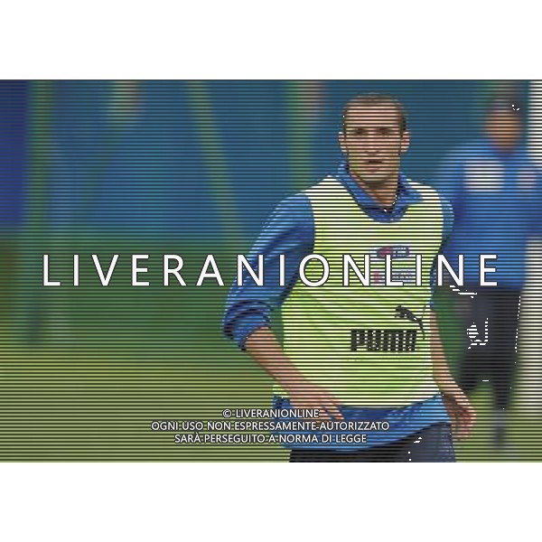 Allenamento Nazionale Italiana a Baden - 03.06.2008 Ritiro Austria Euro 2008 Nella Foto: giorgio CHIELLINI Ph.Vitez-Ag. Aldo Liverani