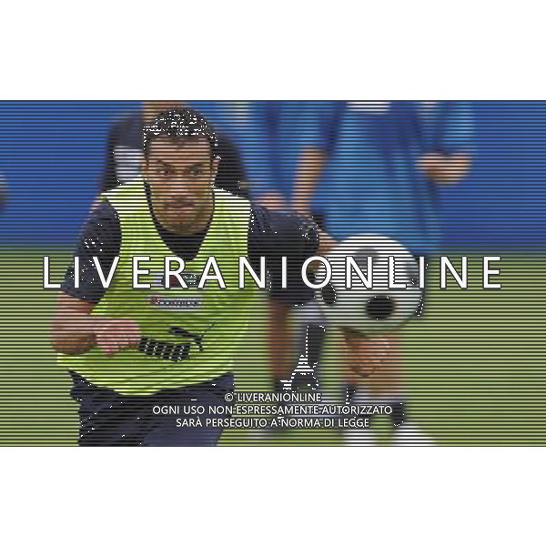 Allenamento Nazionale Italiana a Baden - 03.06.2008 Ritiro Austria Euro 2008 Nella Foto: fabio QUAGLIARELLA Ph.Vitez-Ag. Aldo Liverani