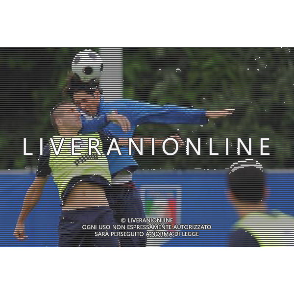 Allenamento Nazionale Italiana a Baden - 03.06.2008 Ritiro Austria Euro 2008 Nella Foto: alessandro GAMBERINI e marco BORRIELLO Ph.Vitez-Ag. Aldo Liverani