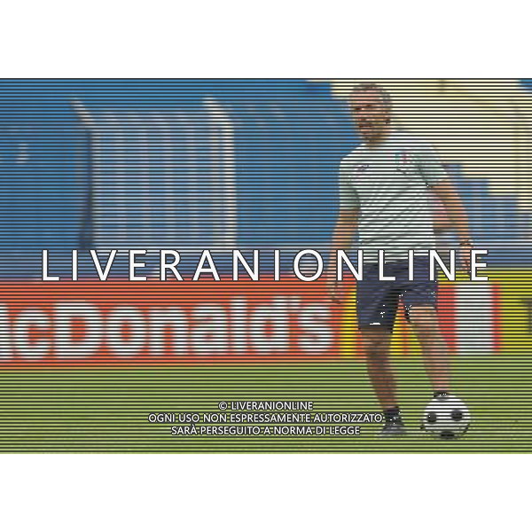 Allenamento Nazionale Italiana Baden - 05.06.2008 Nella Foto:DONADONI /Ph.Vitez-Ag. Aldo Liverani