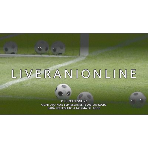 Allenamento Nazionale Italiana Baden - 05.06.2008 Nella Foto:PALLONI DEGLI EUROPEI /Ph.Vitez-Ag. Aldo Liverani