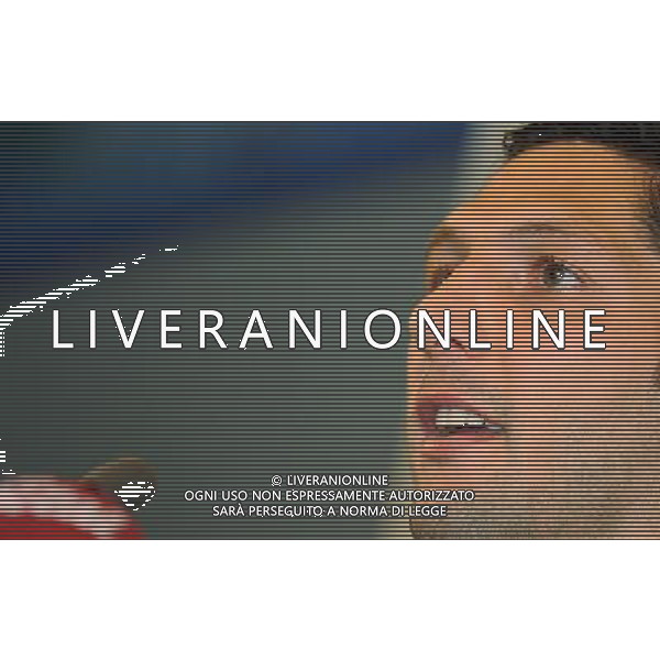 Conferenza Stampa Materazzi-Pirlo-Grosso Baden - 06.06.2008 Nella Foto:MATERAZZI MARCO /Ph.Vitez-Ag. Aldo Liverani