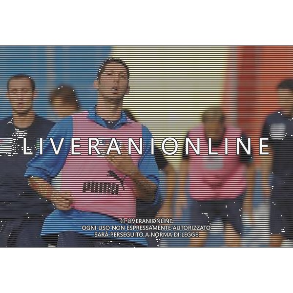 Allenamento Nazionae Italiana Baden - 06.06.2008 Nella Foto:MATERAZZI /Ph.Vitez-Ag. Aldo Liverani