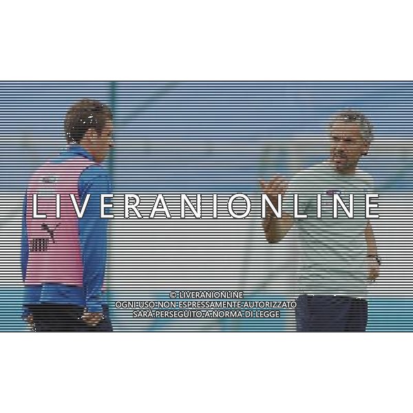 Allenamento Nazionae Italiana Baden - 06.06.2008 Nella Foto:DONADONI-CASSANO /Ph.Vitez-Ag. Aldo Liverani