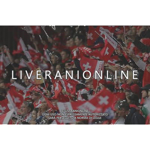 Svizzera - Repubblica Ceca - Europei 2008 nella foto Tifosi ph luzzani/Ag. Aldo Liverani sas