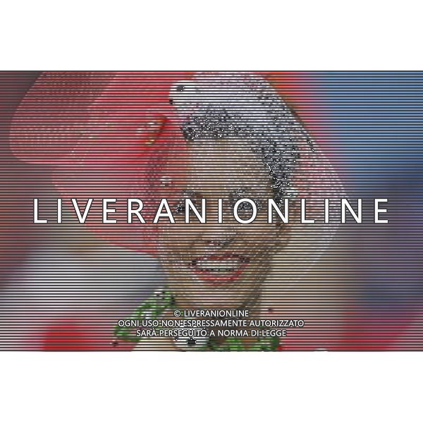 Svizzera - Repubblica Ceca - Europei 2008 nella foto Tifosi ph luzzani/Ag. Aldo Liverani sas