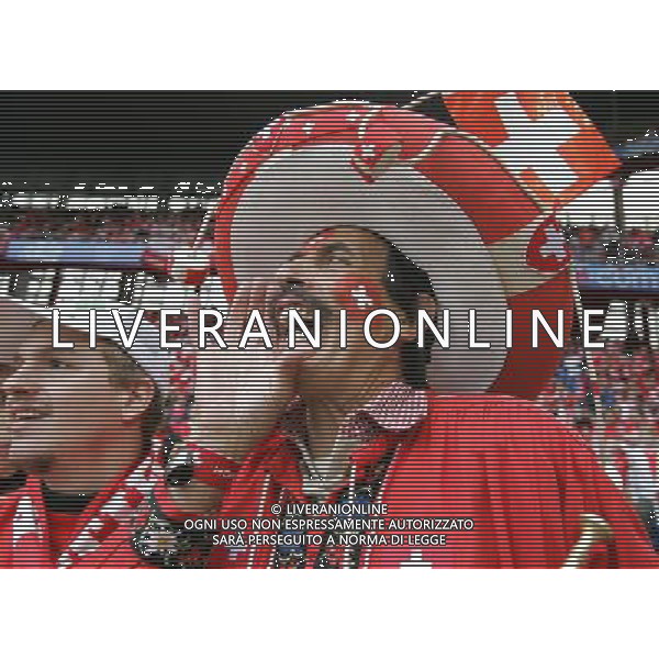 Svizzera - Repubblica Ceca - Europei 2008 nella foto tifosi ph luzzani/Ag. Aldo Liverani sas