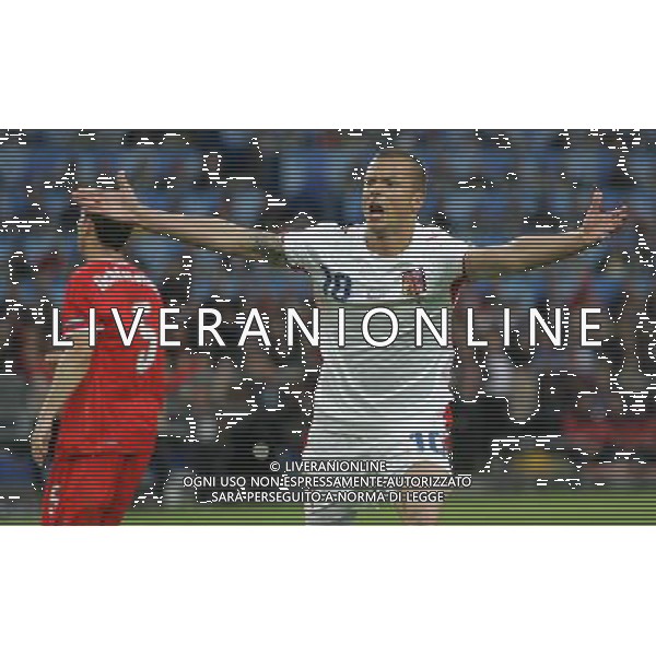 Svizzera - Repubblica Ceca - Europei 2008 07/06/2008 nella foto esultanza dopo il gol di sverkos ph luzzani/Ag. Aldo Liverani sas