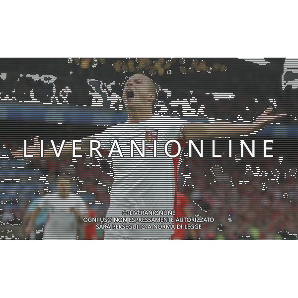 Svizzera - Repubblica Ceca - Europei 2008 07/06/2008 nella foto esultanza dopo il gol di sverkos ph luzzani/Ag. Aldo Liverani sas