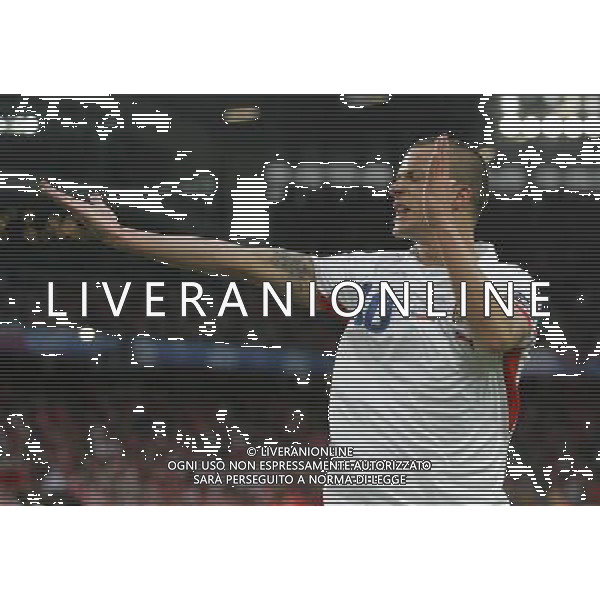 Svizzera - Repubblica Ceca - Europei 2008 07/06/2008 nella foto esultanza dopo il gol di sverkos ph luzzani/Ag. Aldo Liverani sas