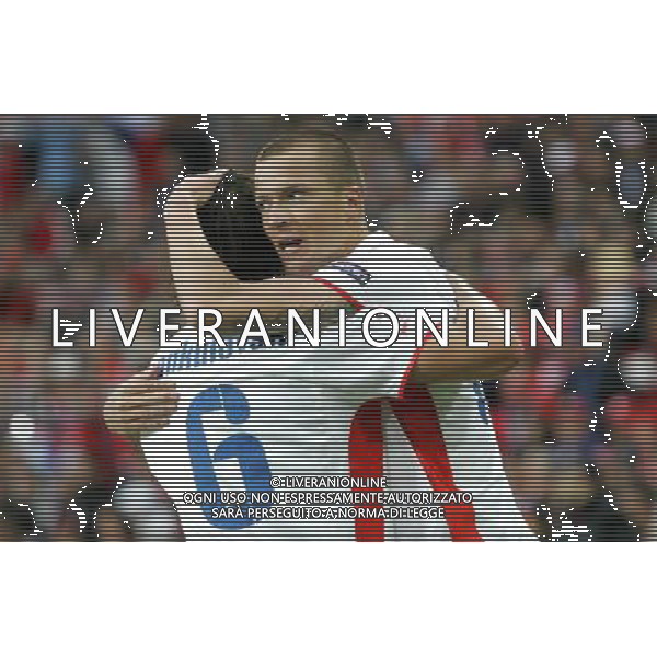 Svizzera - Repubblica Ceca - Europei 2008 07/06/2008 nella foto esultanza dopo il gol di sverkos con jankulovski ph luzzani/Ag. Aldo Liverani sas