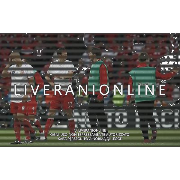 Basilea 07-06-2008 Campionati europei calcio EURO 2008 svizzera-rep. ceca 0:1 nella foto delusione a fine partita della svizzera ph marco luzzani/ag aldo liverani s.a.s.