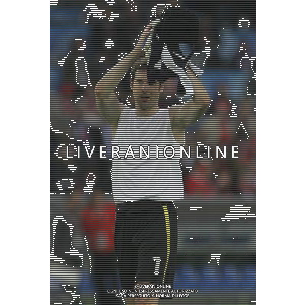 Basilea 07-06-2008 Campionati europei calcio EURO 2008 svizzera-rep. ceca 0:1 nella foto esultanza a fine partita di petr cech ph marco luzzani/ag aldo liverani s.a.s.