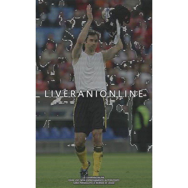 Basilea 07-06-2008 Campionati europei calcio EURO 2008 svizzera-rep. ceca 0:1 nella foto esultanza a fine partita di petr cech ph marco luzzani/ag aldo liverani s.a.s.