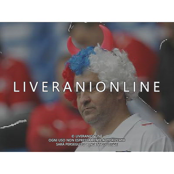 Basilea 07-06-2008 Campionati europei calcio EURO 2008 svizzera-rep. ceca 0:1 nella foto tifo repubblica ceca ph marco luzzani/ag aldo liverani s.a.s.