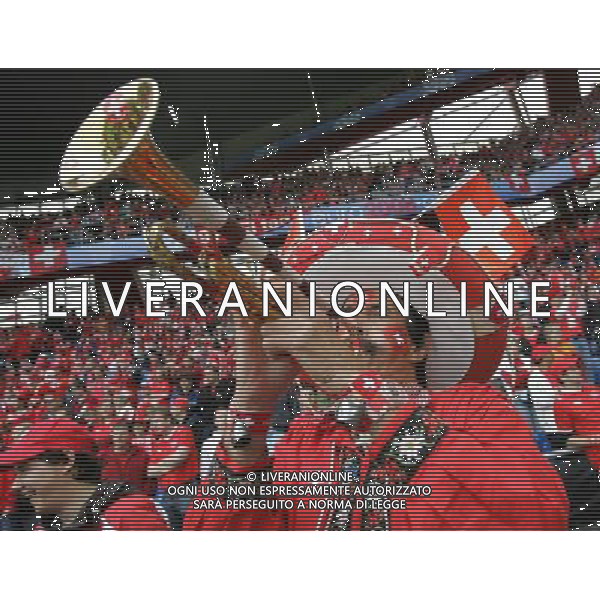 Basilea 07-06-2008 Campionati europei calcio EURO 2008 svizzera-rep. ceca 0:1 nella foto tifo svizzera ph marco luzzani/ag aldo liverani s.a.s.