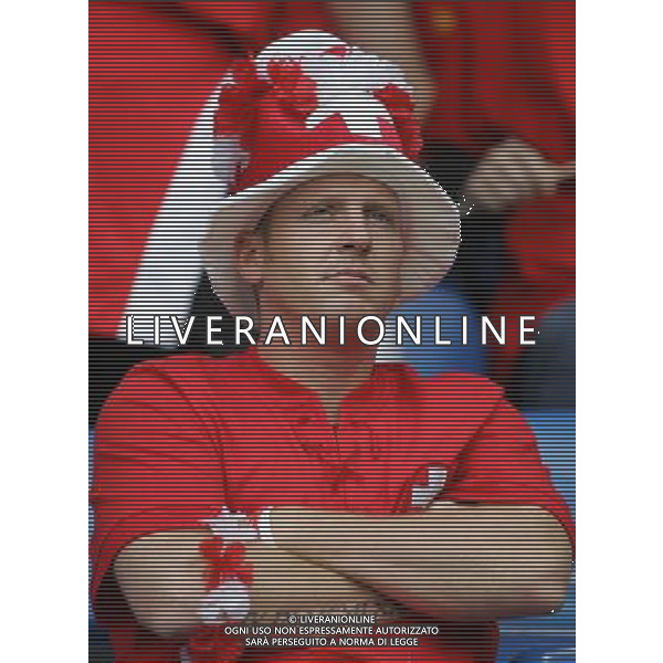 Basilea 07-06-2008 Campionati europei calcio EURO 2008 svizzera-rep. ceca 0:1 nella foto tifo svizzera ph marco luzzani/ag aldo liverani s.a.s.