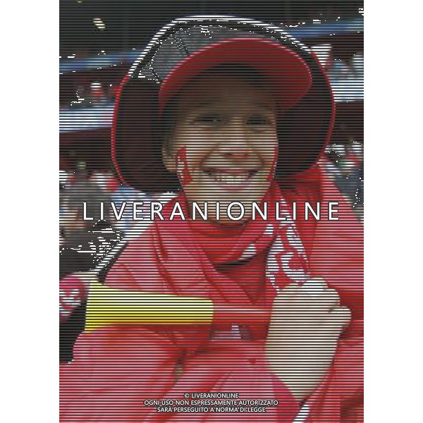 Basilea 07-06-2008 Campionati europei calcio EURO 2008 svizzera-rep. ceca 0:1 nella foto tifo svizzera ph marco luzzani/ag aldo liverani s.a.s.