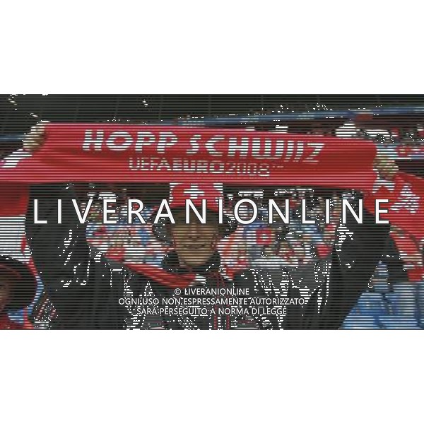 Basilea 07-06-2008 Campionati europei calcio EURO 2008 svizzera-rep. ceca 0:1 nella foto tifo svizzera ph marco luzzani/ag aldo liverani s.a.s.