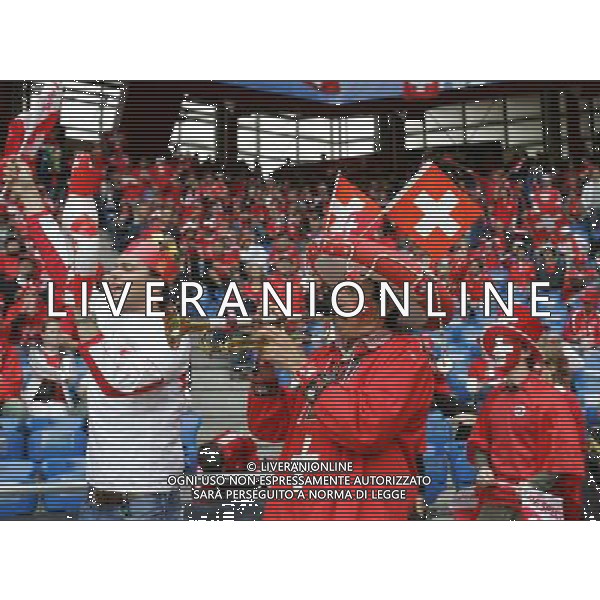 Basilea 07-06-2008 Campionati europei calcio EURO 2008 svizzera-rep. ceca 0:1 nella foto tifo svizzera ph marco luzzani/ag aldo liverani s.a.s.