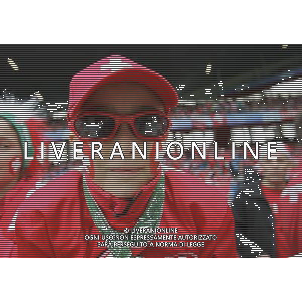 Basilea 07-06-2008 Campionati europei calcio EURO 2008 svizzera-rep. ceca 0:1 nella foto tifo svizzera ph marco luzzani/ag aldo liverani s.a.s.