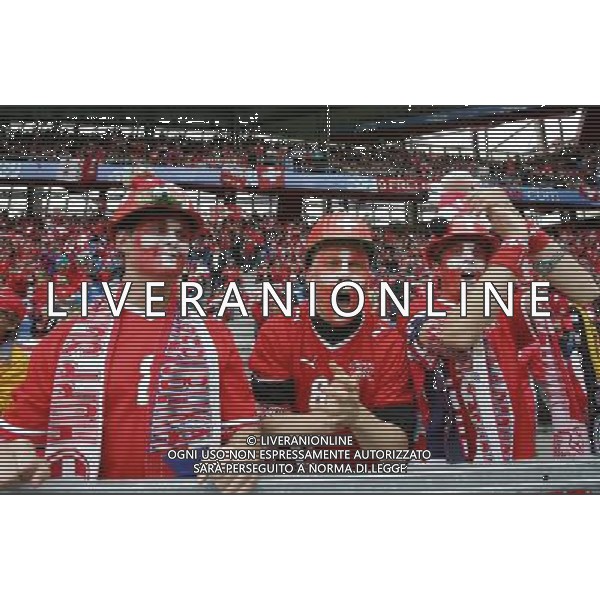 Basilea 07-06-2008 Campionati europei calcio EURO 2008 svizzera-rep. ceca 0:1 nella foto tifo svizzera ph marco luzzani/ag aldo liverani s.a.s.