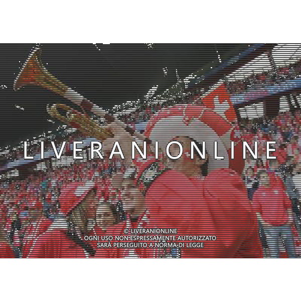 Basilea 07-06-2008 Campionati europei calcio EURO 2008 svizzera-rep. ceca 0:1 nella foto tifo svizzera ph marco luzzani/ag aldo liverani s.a.s.