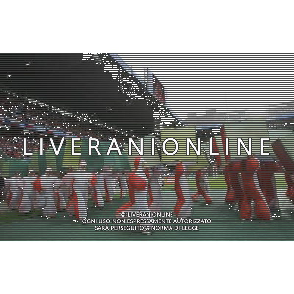 Basilea 07-06-2008 Campionati europei calcio EURO 2008 svizzera-rep. ceca 0:1 nella foto un momento della cerimonia di apertura di EURO2008 ph marco luzzani/ag aldo liverani s.a.s.