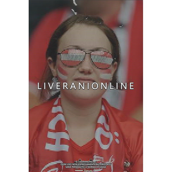 UEFA EURO 2008 Gruppo B M03 Vienna - 08.06.2008 Austria-Croazia Nella Foto:TIFOSI AUSTRIA /Ph.Vitez-Ag. Aldo Liverani