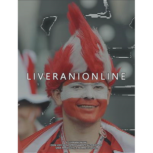 UEFA EURO 2008 Gruppo B M03 Vienna - 08.06.2008 Austria-Croazia Nella Foto:TIFOSI AUSTRIA /Ph.Vitez-Ag. Aldo Liverani