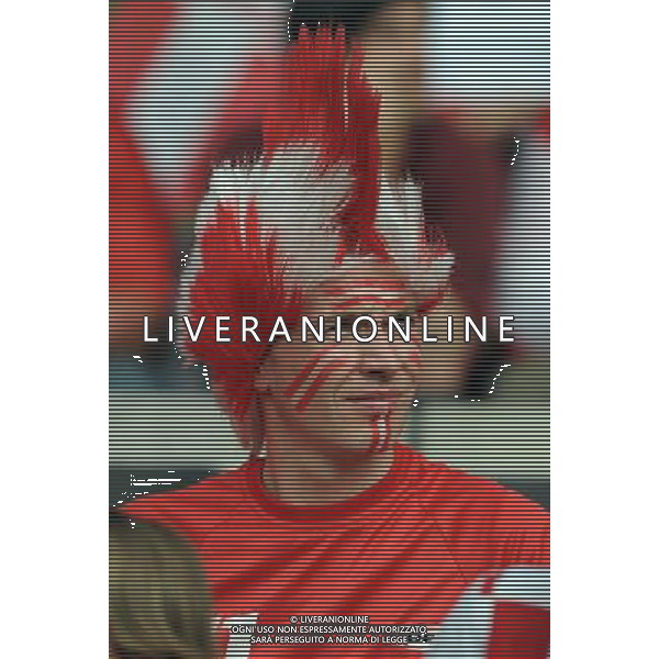 UEFA EURO 2008 Gruppo B M03 Vienna - 08.06.2008 Austria-Croazia Nella Foto:TIFOSI AUSTRIA /Ph.Vitez-Ag. Aldo Liverani