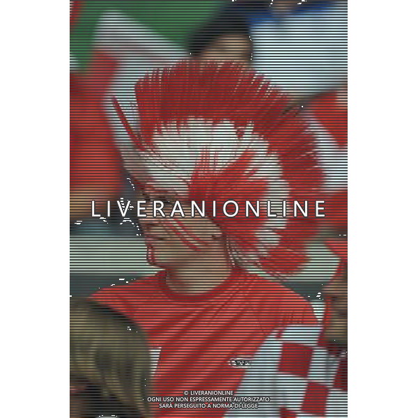 UEFA EURO 2008 Gruppo B M03 Vienna - 08.06.2008 Austria-Croazia Nella Foto:TIFOSI AUSTRIA /Ph.Vitez-Ag. Aldo Liverani