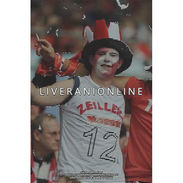 UEFA EURO 2008 Gruppo B M03 Vienna - 08.06.2008 Austria-Croazia Nella Foto:TIFOSI AUSTRIA /Ph.Vitez-Ag. Aldo Liverani