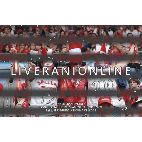 UEFA EURO 2008 Gruppo B M03 Vienna - 08.06.2008 Austria-Croazia Nella Foto:TIFOSI AUSTRIA /Ph.Vitez-Ag. Aldo Liverani