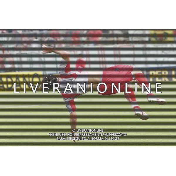 cremona 8/6/2008 ritorno finale Playoff per la promozione in serie B Cremonese-Cittadella nella foto esultanza viali foto Paola Garbuio/Ag Aldo Liverani