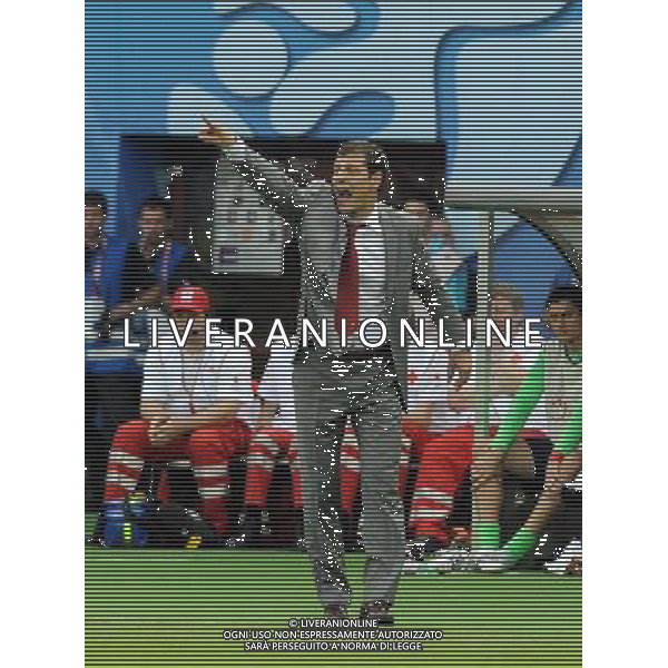 UEFA EURO 2008 Gruppo B M03 Vienna - 08.06.2008 Austria-Croazia Nella Foto:BILIC /Ph.Vitez-Ag. Aldo Liverani