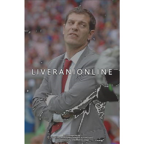 UEFA EURO 2008 Gruppo B M03 Vienna - 08.06.2008 Austria-Croazia Nella Foto:BILIC /Ph.Vitez-Ag. Aldo Liverani