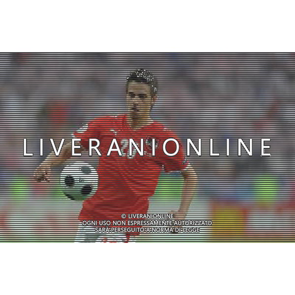 Austria-Croazia UEFA EUROPEI 2008 Gruppo B M03 Vienna - 08.06.2008 Nella Foto: HARNIK Ph.Vitez/Ag. Aldo Liverani