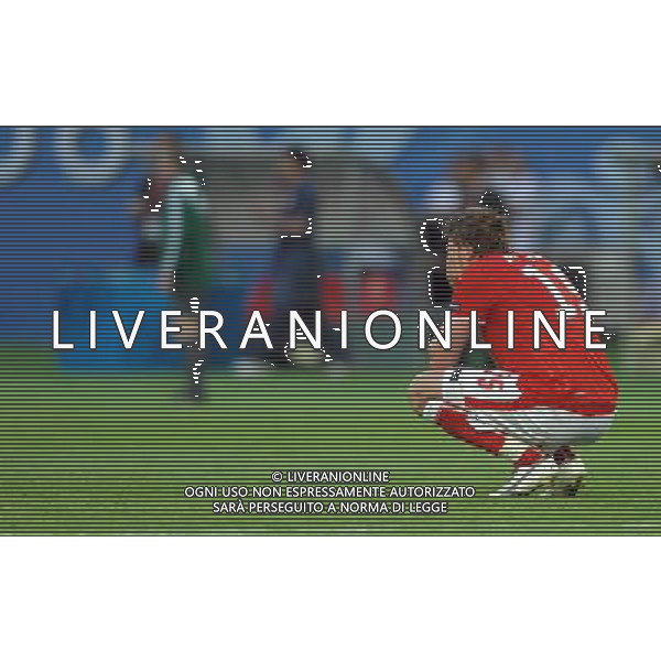 Austria-Croazia UEFA EUROPEI 2008 Gruppo B M03 Vienna - 08.06.2008 Nella Foto: DELUSIONE AUSTRIA A FINE GARA Ph.Vitez/Ag. Aldo Liverani