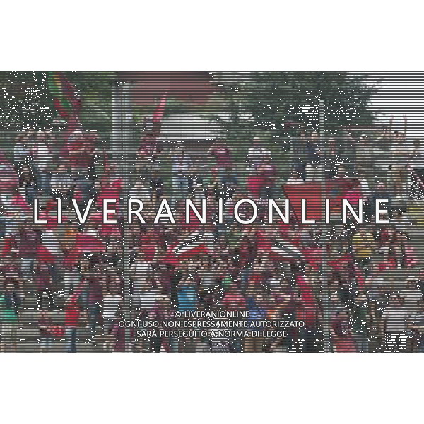 CREMONA 08/06/2008 SERIE C1 CREMONESE-CITTADELLA NELLA FOTO:CURVA CITTADELLA FOTO PAOLA GARBUIO/AG.ALDO LIVERANI