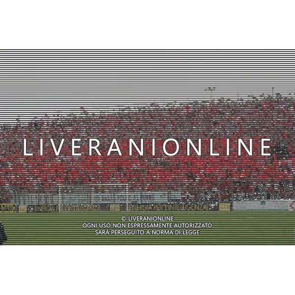 CREMONA 08/06/2008 SERIE C1 CREMONESE-CITTADELLA NELLA FOTO:CURVA CREMONESE FOTO PAOLA GARBUIO/AG.ALDO LIVERANI