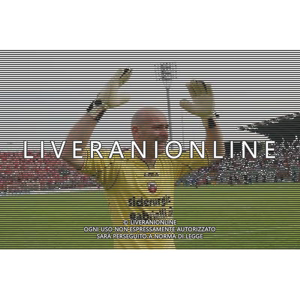 CREMONA 08/06/2008 SERIE C1 CREMONESE-CITTADELLA NELLA FOTO:PIEROBON ANDREA FESTEGGIA A FINE PARTITA FOTO PAOLA GARBUIO/AG.ALDO LIVERANI