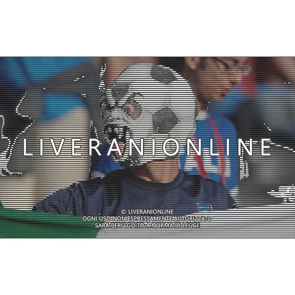 UEFA EURO 2008 Gruppo C M06 Berna - 09.06.2008 Olanda-Italia Nella Foto:TIFOSI ITALIA /Ph.Vitez-Ag. Aldo Liverani